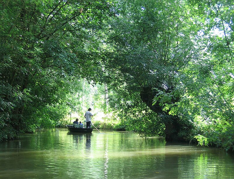 Marais Poitevin, la Venise verte en barque